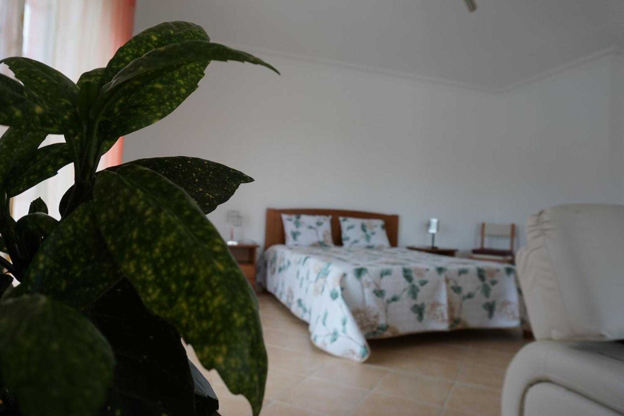 Vivenda Godinho Apartment นาซาเร ภายนอก รูปภาพ